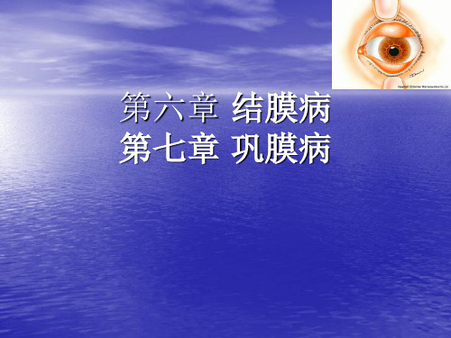 7.8结膜巩膜病 PPT课件