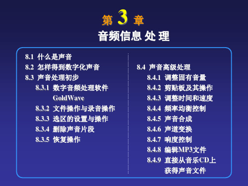 声音处理精品PPT课件