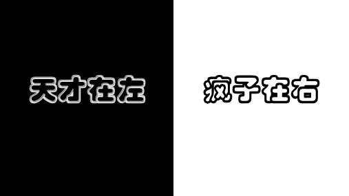 天才在左,疯子在右ppt