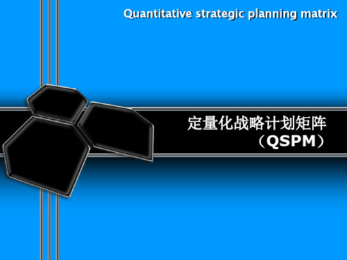 QSPM战略矩阵