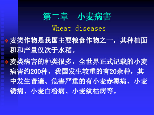 小麦病害及综合防治