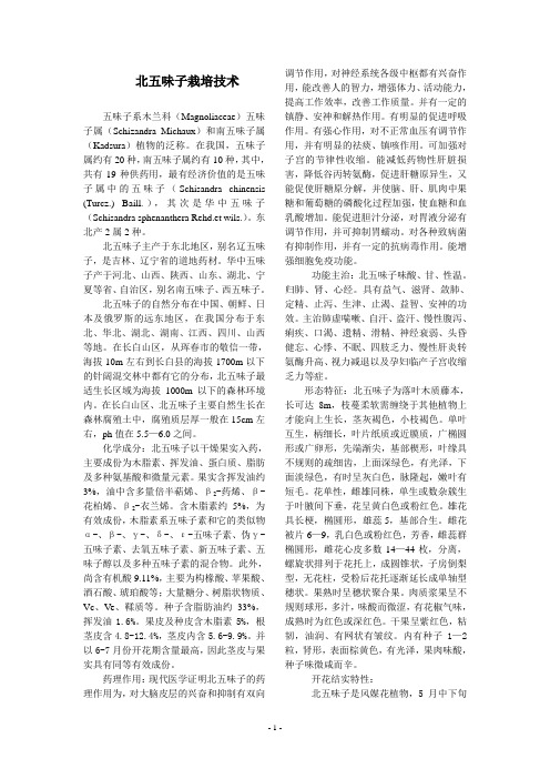 北五味子栽培技术 资料