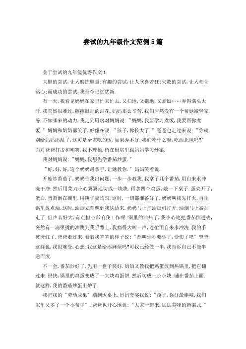 尝试的九年级作文范例5篇