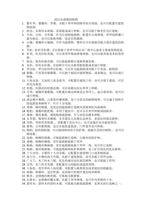 武汉东湖梨园植物