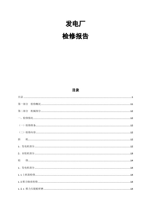 电厂修检修报告-112页文档资料