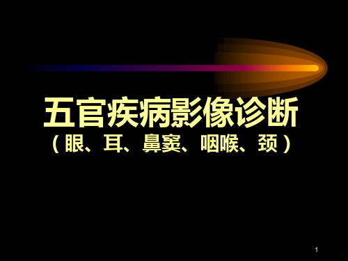 眼及眼眶PPT课件