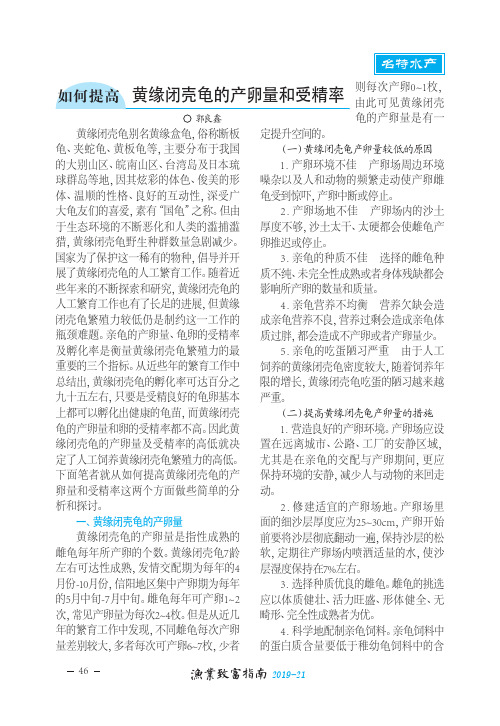 如何提高黄缘闭壳龟的产卵量和受精率
