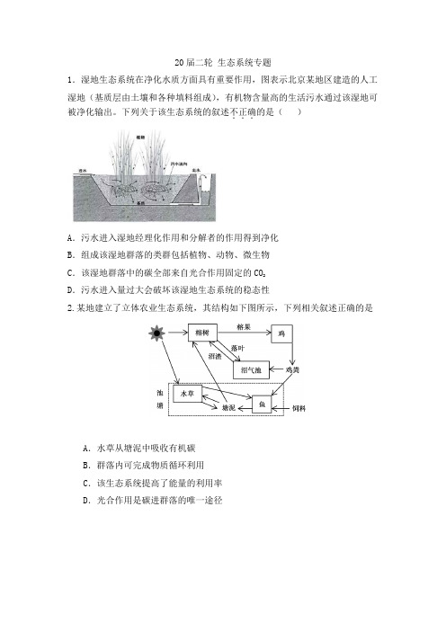 2020-高三生物二轮 生态系统专题