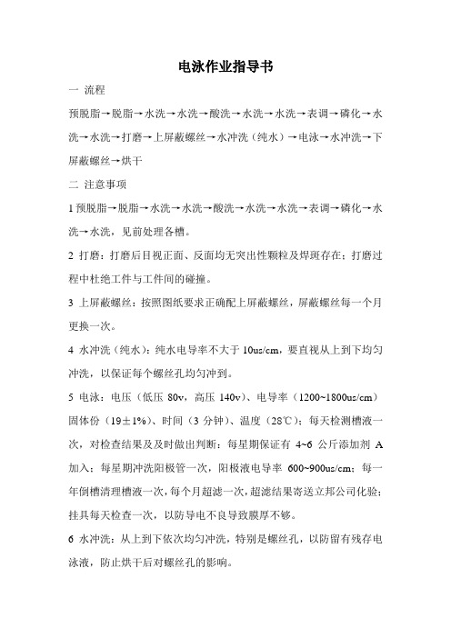 电泳作业指导书