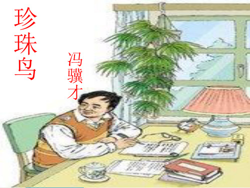 人教版小学四年级语文上册珍珠鸟2公开课优质课教学课件精品