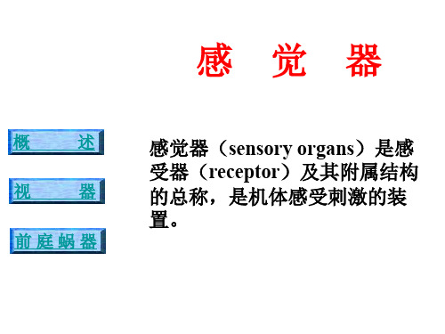 解剖学 感觉器-视器