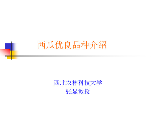 西瓜新品种介绍