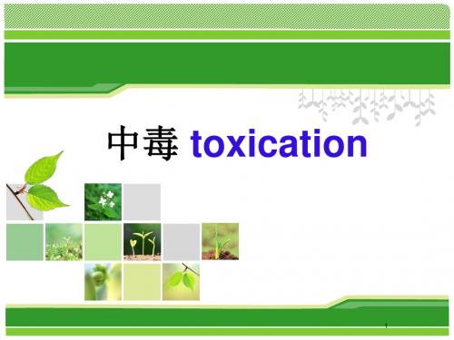 阿托品中毒PPT课件