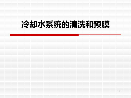 冷却水系统的清洗和预膜