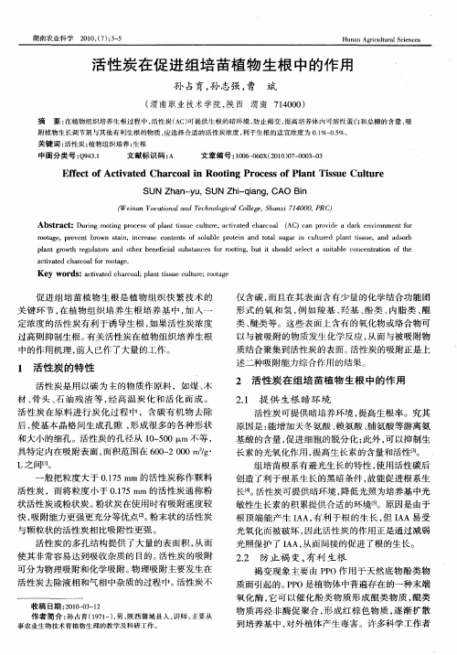 活性炭在促进组培苗植物生根中的作用