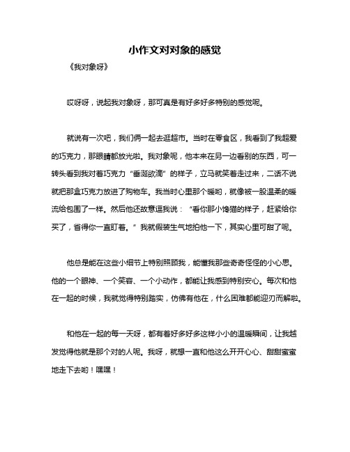 小作文对对象的感觉
