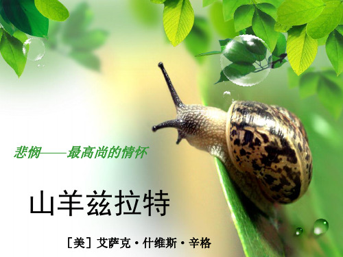 山羊兹拉特
