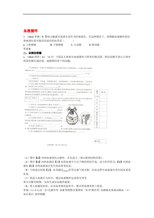 届近三中考生物专题汇编及解析血液循环人教新课标版