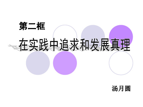 真理ppt