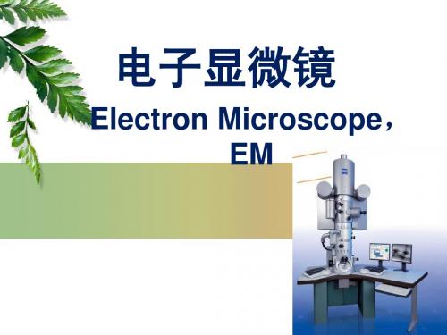 现代仪器分析——电子显微镜