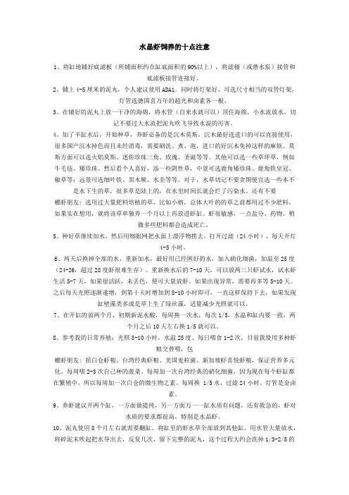 水晶虾饲养的十点注意