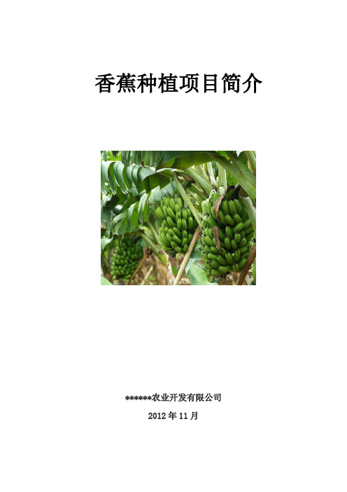 香蕉种植可行性研究报告