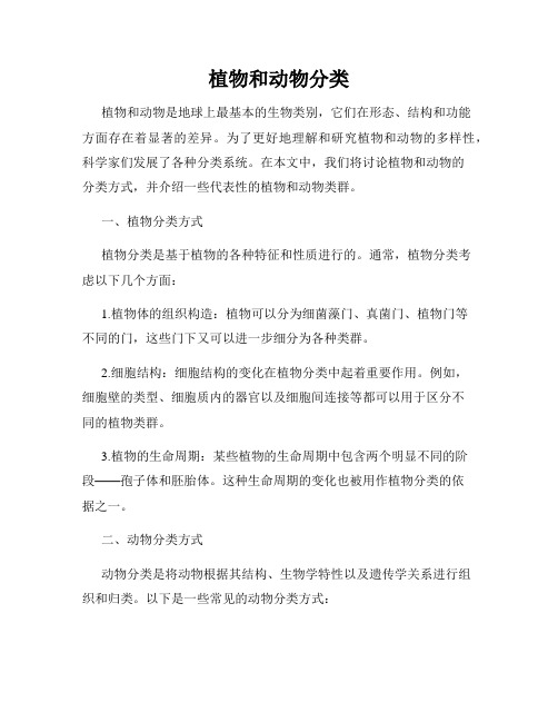 植物和动物分类