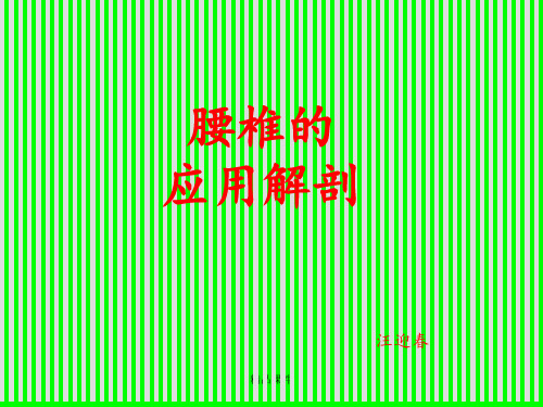 腰椎解剖应用
