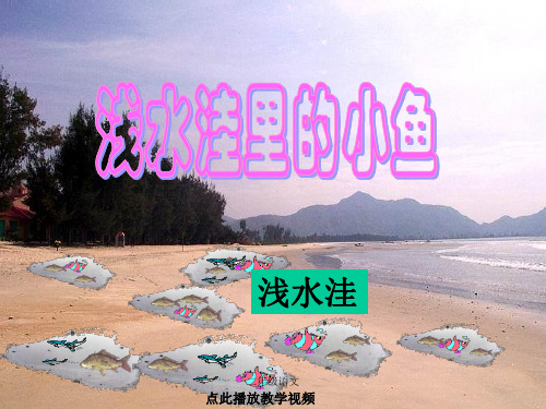 部编二年级语文上册-28《浅水洼里的小鱼》PPT课件