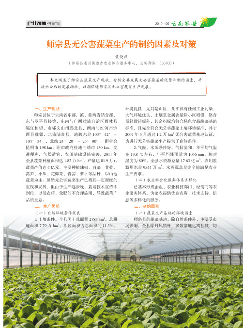 师宗县无公害蔬菜生产的制约因素及对策