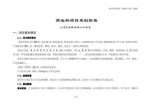 南京江宁区商业街项目策划报告