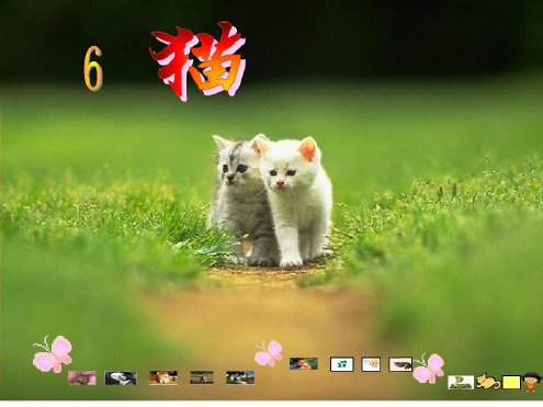 辽宁省人教版七年级语文上册第五单元第17课猫课件共12张