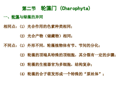 轮藻门 金藻门  红藻门 褐藻门