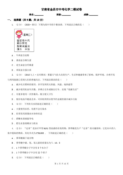 甘肃省金昌市中考化学二模试卷