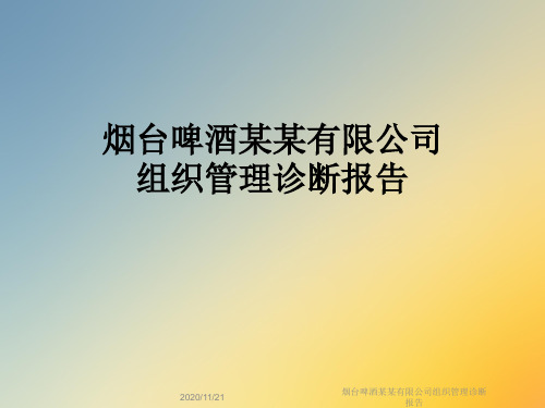 烟台啤酒某某有限公司组织管理诊断报告