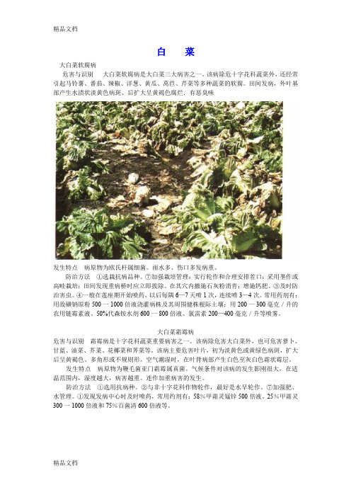 (整理)白菜病虫害防治图说大全