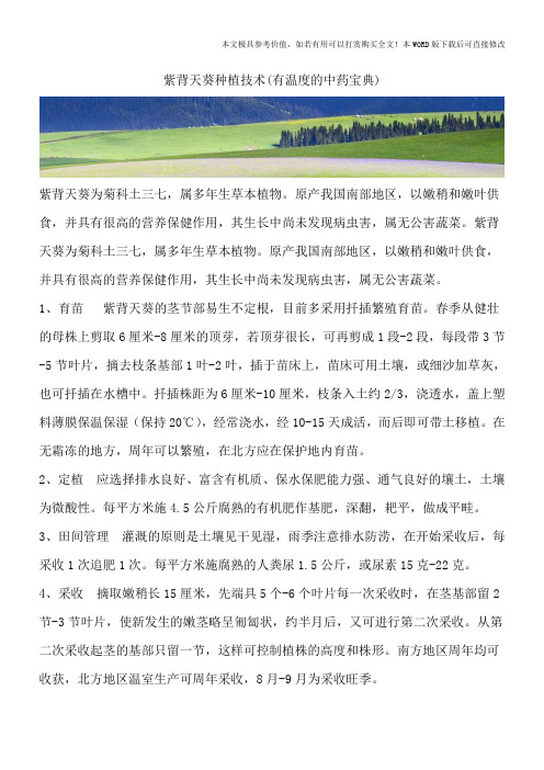 紫背天葵种植技术(有温度的中药宝典)