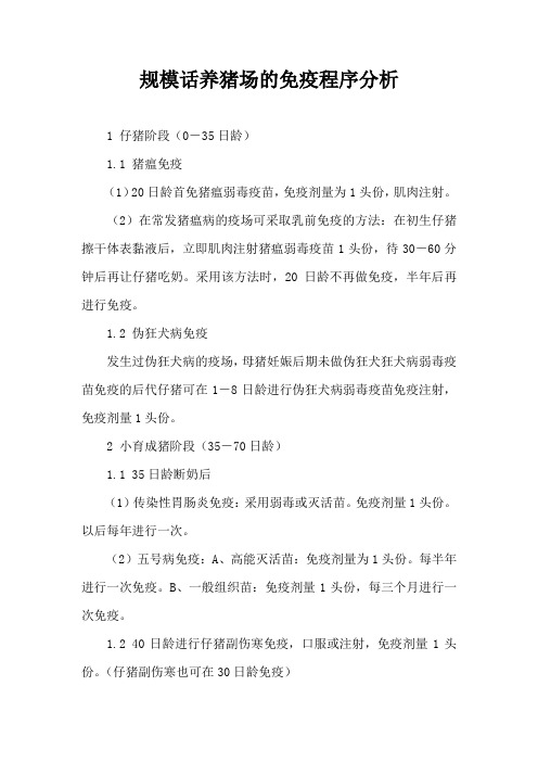 规模话养猪场免疫程序分析