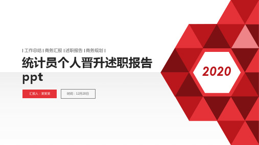 统计员个人晋升述职报告ppt