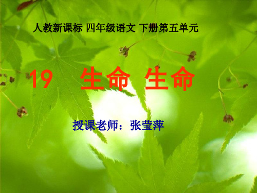人教新课标四年级语文下册《生命生命2》PPT课件