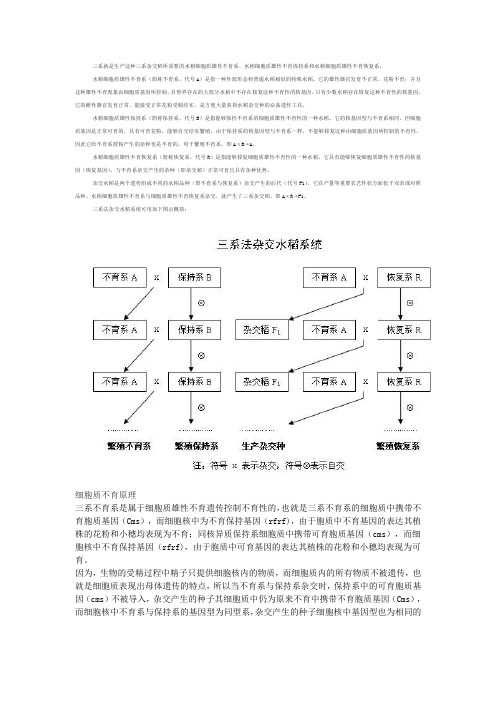 三系杂交原理