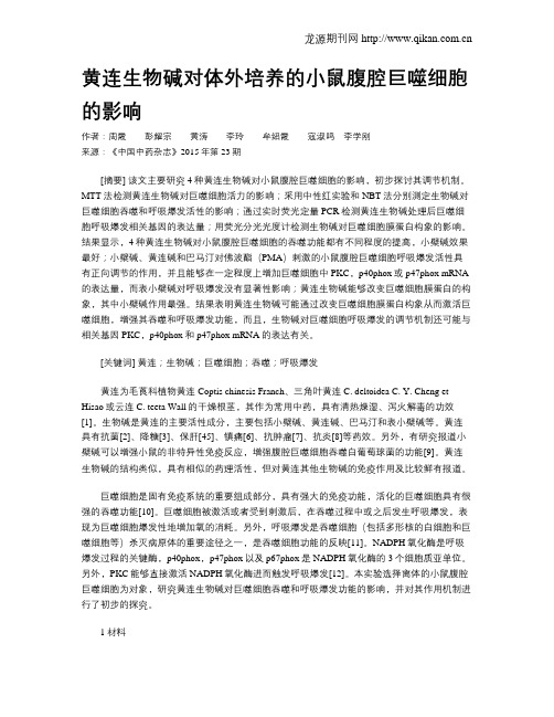 黄连生物碱对体外培养的小鼠腹腔巨噬细胞的影响