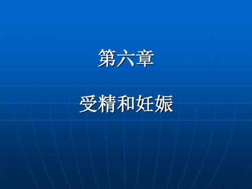 第五章 受精与妊娠.ppt