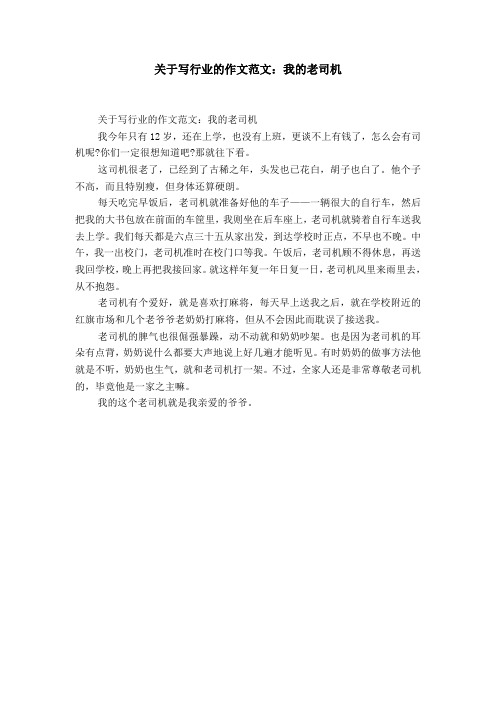 关于写行业的作文范文：我的老司机【精选】