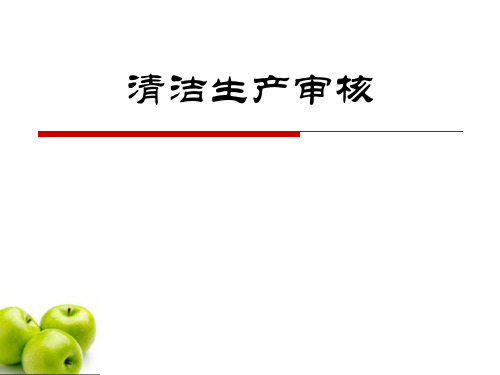 清洁生产审核