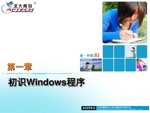 初识Windows程序-PPT文档资料