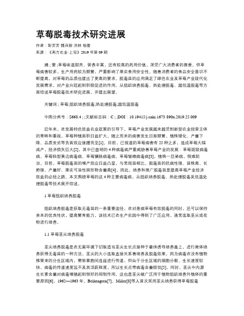 草莓脱毒技术研究进展