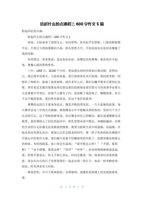 拾起什么的点滴初三600字作文5篇
