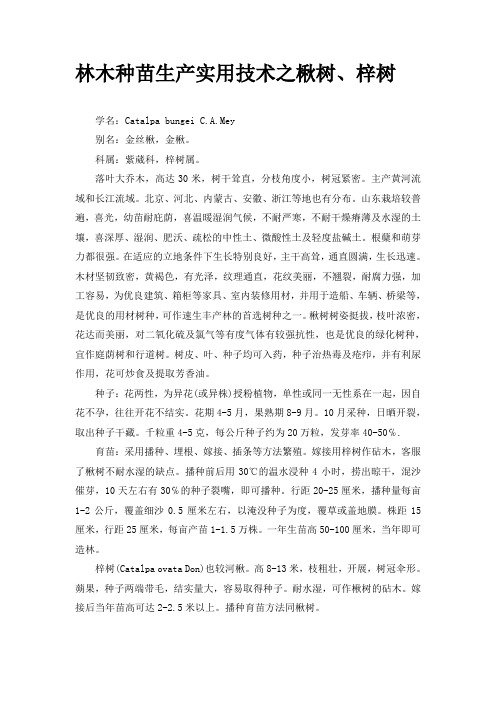 林木种苗生产实用技术之楸树、梓树