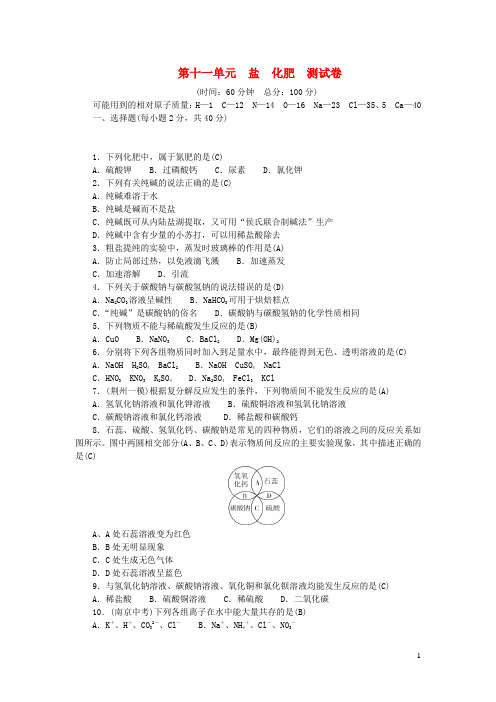 九年级化学下册第十一单元盐化肥测试卷新版新人教版